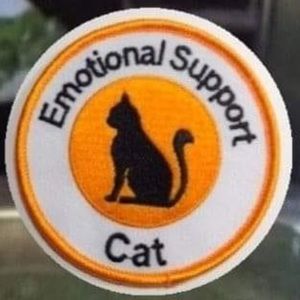 Meet your Posher, Joyce